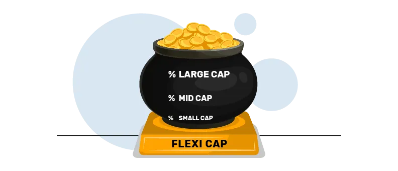 invest in flexi cap fund